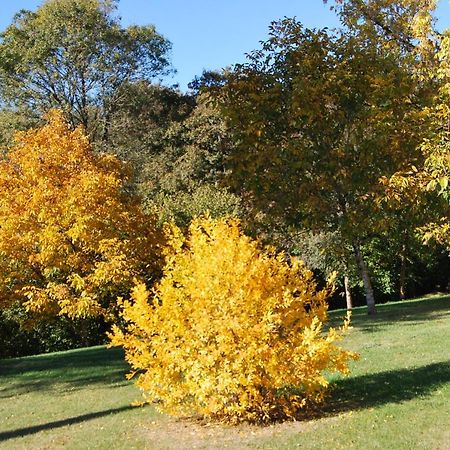Domaine La Bastide Bed & Breakfast Cleyrac ภายนอก รูปภาพ