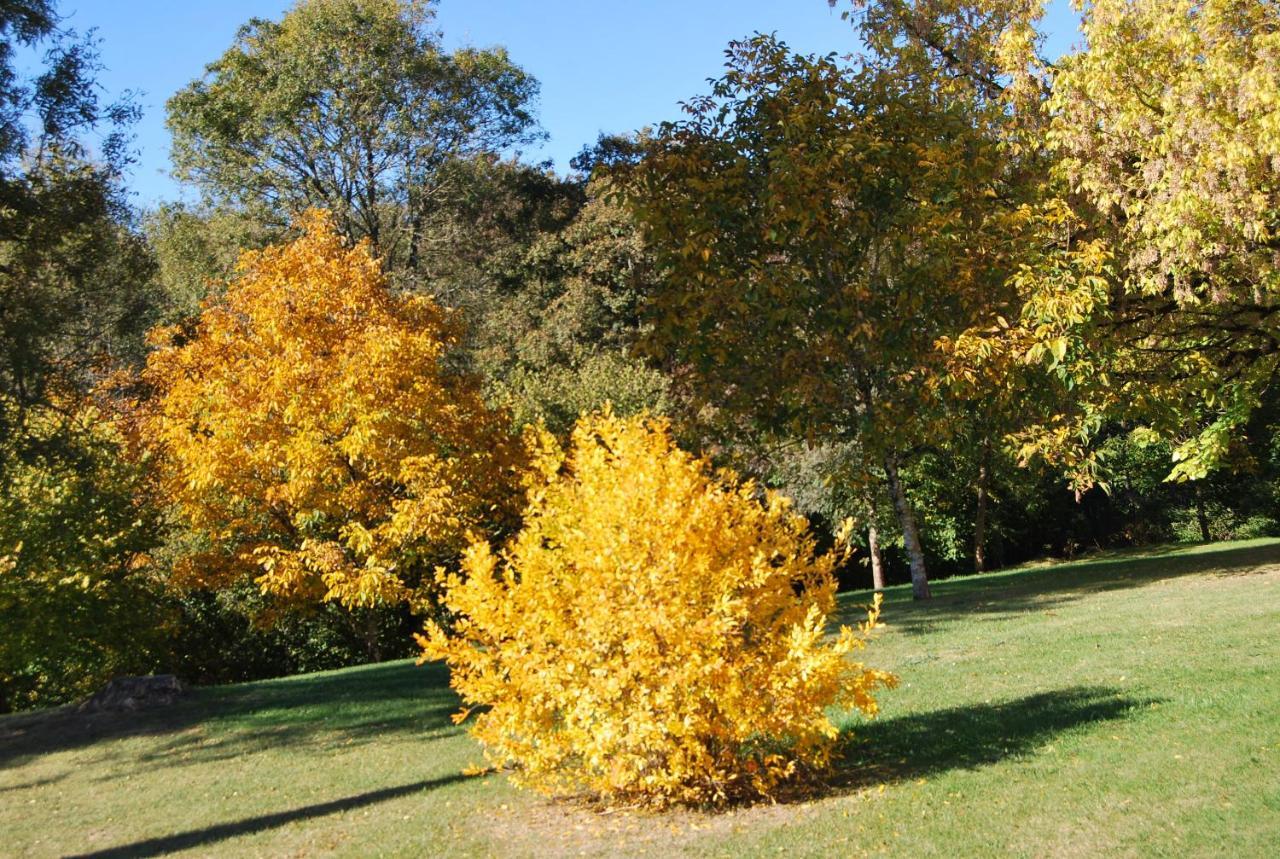 Domaine La Bastide Bed & Breakfast Cleyrac ภายนอก รูปภาพ
